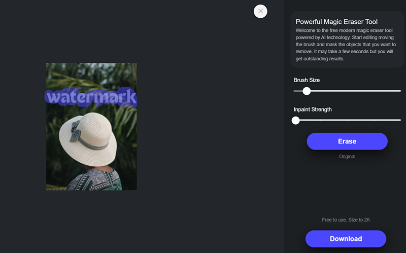 How to Remove Watermarks with the Best Free AI Remover