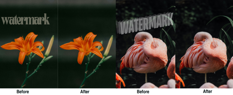 How to Remove Watermarks with the Best Free AI Remover