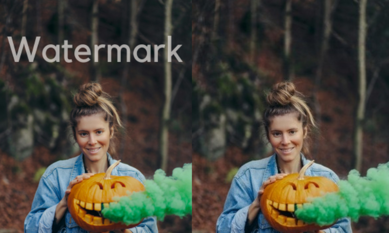 Free AI Watermark Remover: Remove Watermarks From Photos Online with AI